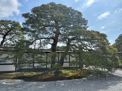 -京都御所