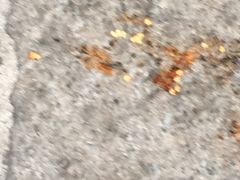 -东北人粗粮饺子坊(南山店)