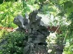 -申粤轩酒楼·三十年粤菜经典(丁香花园店)