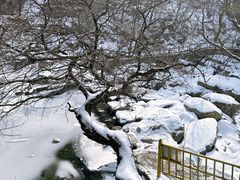 -少华山国家森林公园