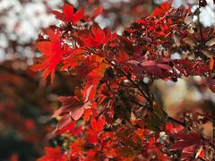 -苏州河梦清园环保主题公园