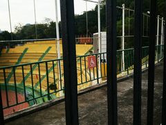 -广州中山纪念堂
