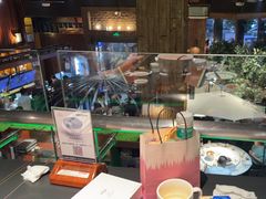 -三强鸽子(中原路店)