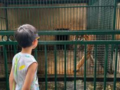 -揭东万竹园旅游景区