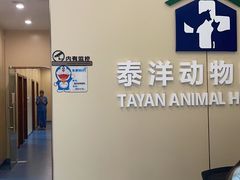 -泰洋动物医院·神经专科·磁共振·CT(天河公园总院)