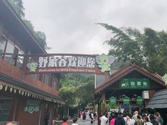 -野象谷景区