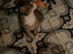 -Chili's Cafe&Bar奇利斯(滨江店)