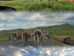 -沽源味道蒙餐莜面家常菜