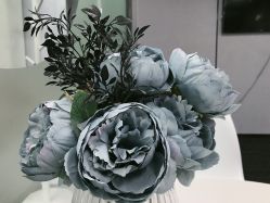 -MJ skin care国际皮肤管理中心