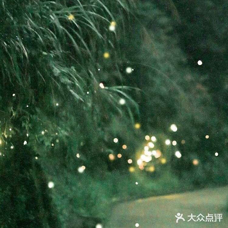 江浙沪周边游 | 去千岛湖过个完美夏天,两天一夜攻略