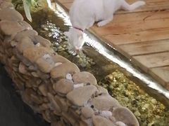 -龙源茶坊(白银路店)