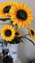 -甲舍美甲美睫艺术馆