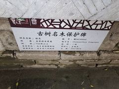 -内乡县衙博物馆