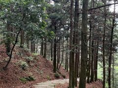 -南岳衡山风景名胜区