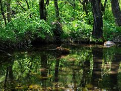 -玉渡山自然风景区