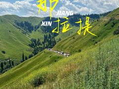 -新疆那拉提国家旅游度假区