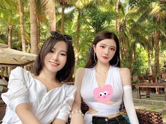 -万绿园