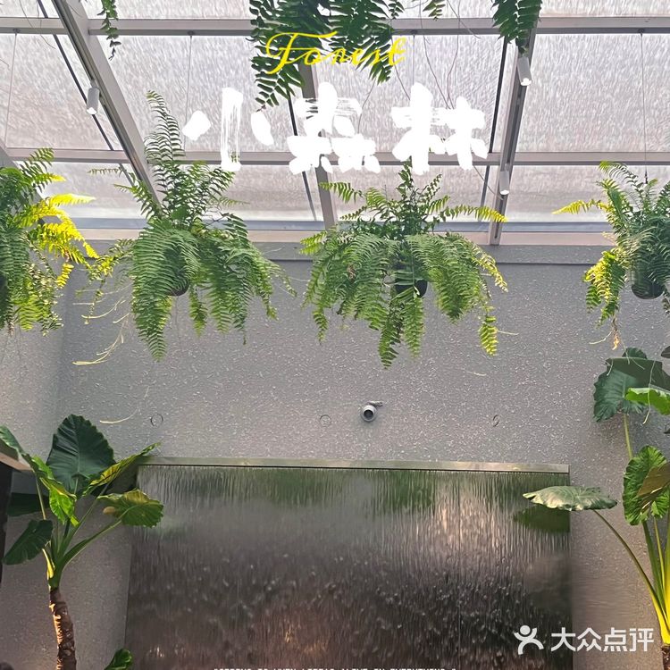 揭阳·拢好粤味｜口味和环境并存的地道粤菜