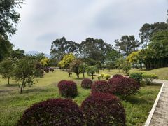 -福建鲤鱼洲酒店