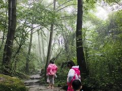 -青峰峡国家森林公园