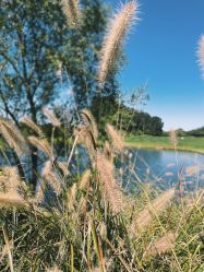 -鸿禧国际高尔夫俱乐部婚宴·草坪婚礼·宴会厅