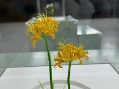 -穆拉诺餐厅(上海玻璃博物馆店)