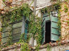 -梅园婚恋·婚姻介绍