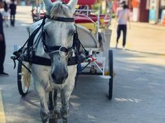 -南戴河国际娱乐中心