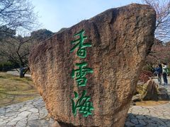 -香雪海