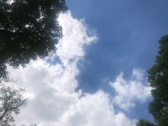 -嘉北郊野公园