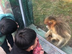 -西安秦岭野生动物园