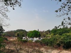 -南国桃园旅游度假区