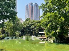 -静安公园(静安寺街道)