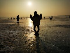 -丁香湖公园