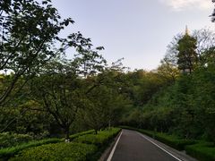 -重庆园博园