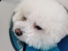 -佳雯宠物医院(金华南路分院)