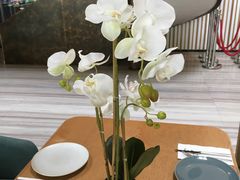 店内布置-EN SPACE恩空间