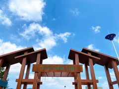 -羊亭河湿地公园