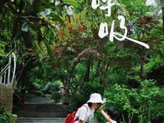 -石老人观光园