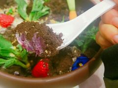 盆栽鲜蔬水果沙拉-紫光园(顺义店)