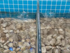 -海韵之星邮轮水会(明发商业广场店)