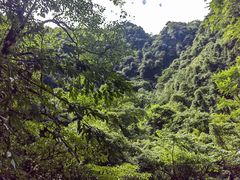 -碧峰峡风景区