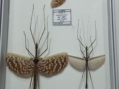 -烟台市博物馆