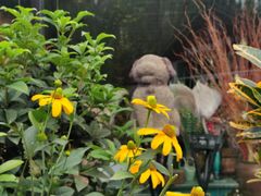 -荣祥广场