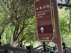 -白马涧龙池景区