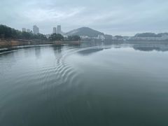 -千岛湖城中湖游船码头