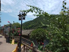 -楠柏弯休闲山庄(梨花溪店)