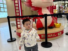 -凯德MALL(望京店)