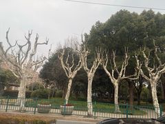 -南汇桃花村