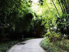 -望江楼公园